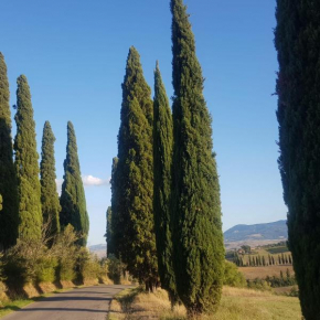 Dimora in San Quirico d'Orcia San Quirico D'orcia